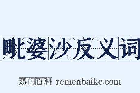 毗婆沙反义词是什么意思的图片